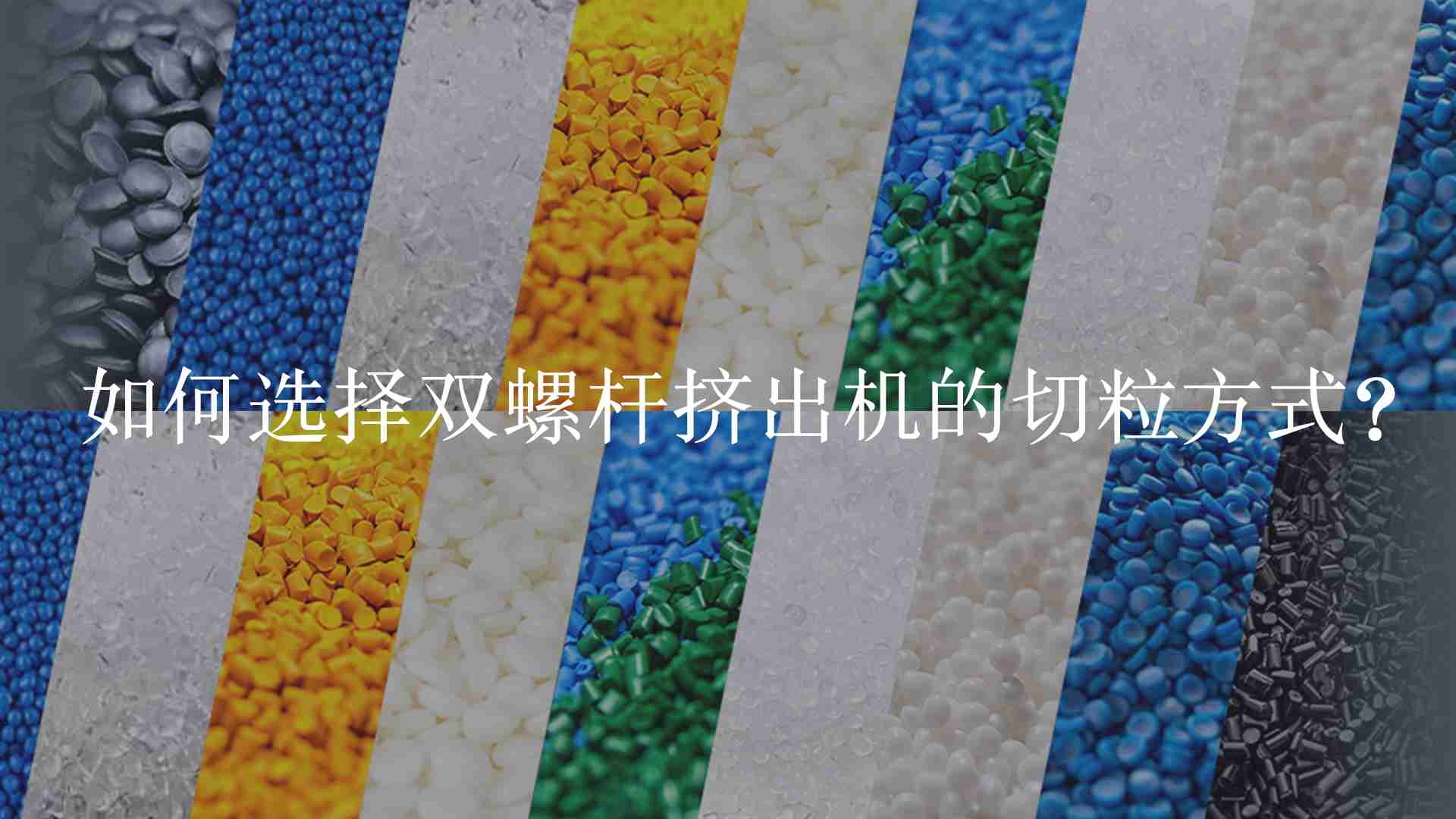 三期内必开一期精准四肖