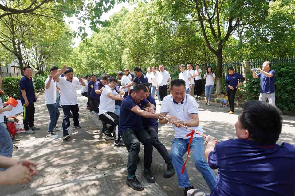 三期内必开一期精准四肖