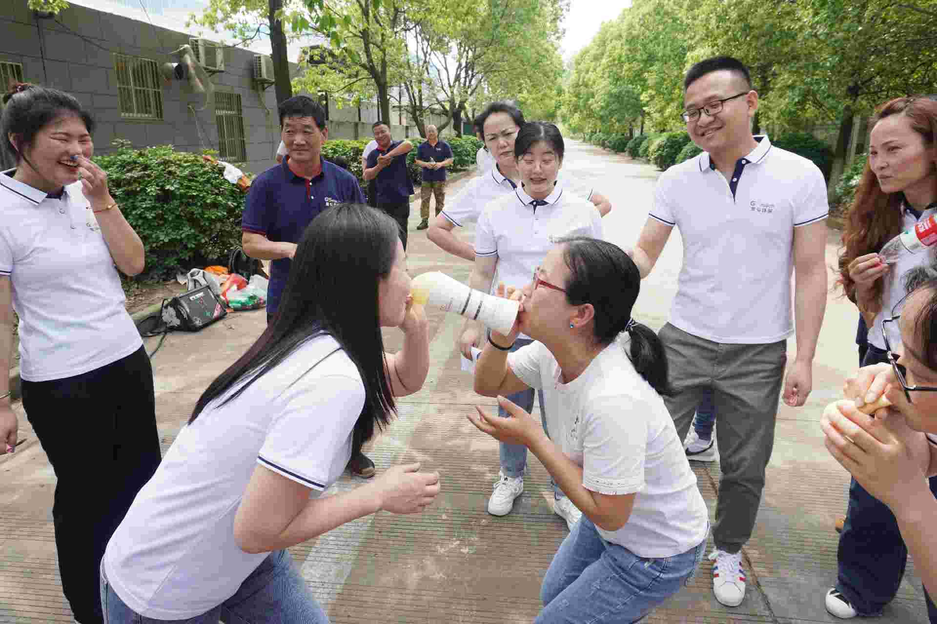 三期内必开一期精准四肖